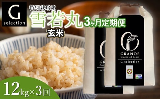 【令和7年産】【新米】【定期便3ヶ月】 Gセレクション 雪若丸「玄米」 12kg (6kg×2袋)×3ヶ月 山形県鶴岡市産　株式会社グラノフ