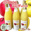 【ふるさと納税】 大人のための りんごジュース ( 霧中 サンふじ シナノゴールド ブレンド ) 720ml × 6本 果汁100% 井澤農園 沖縄県への配送不可 エコファーマー認定 長野県 飯綱町 〔 飲料 果汁飲料 りんご リンゴ 林檎 ジュース 信州 14500円 〕