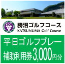 【ふるさと納税】甲州市 勝沼ゴルフ コース 平日 ゴルフプレー 補助利用券 3,000円分 シャトレーゼ ドラコン ニアピン食べ放題 ケーキバー サラダバー アイス 最新カート【B-1310】