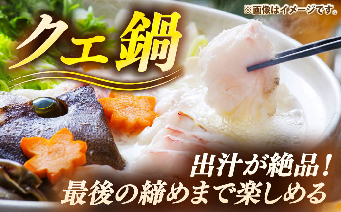 おすすめ オススメ こだわり ギフト 人気 特産品 贈り物 ギフト くえ クエ 