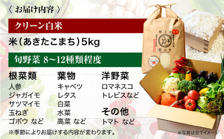 クリーン白米 5kg+旬野菜セット[AGBX009] 白米 5kg