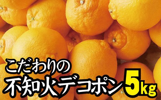 
             【農家直送】こだわりのデコポン不知火 約5kg 有機質肥料100% サイズ混合 ※2025年2月中旬より順次発送予定（お届け日指定不可）/ミカン 蜜柑 柑橘 デコポン フルーツ くだもの 果物 不知火 【nuk111B】
          