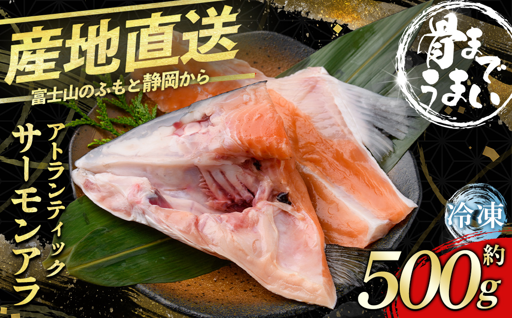 【エリア限定】小山町産アトランティックサーモン（アラ×２パック）｜ サーモン アトランティックサーモン 魚介 海鮮 魚 国産 刺身 冷凍