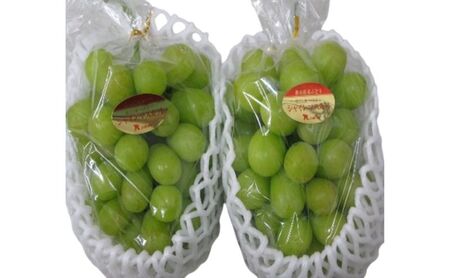 食卓応援品　瀬戸内のシャインマスカット　2房（約1.4kg）
