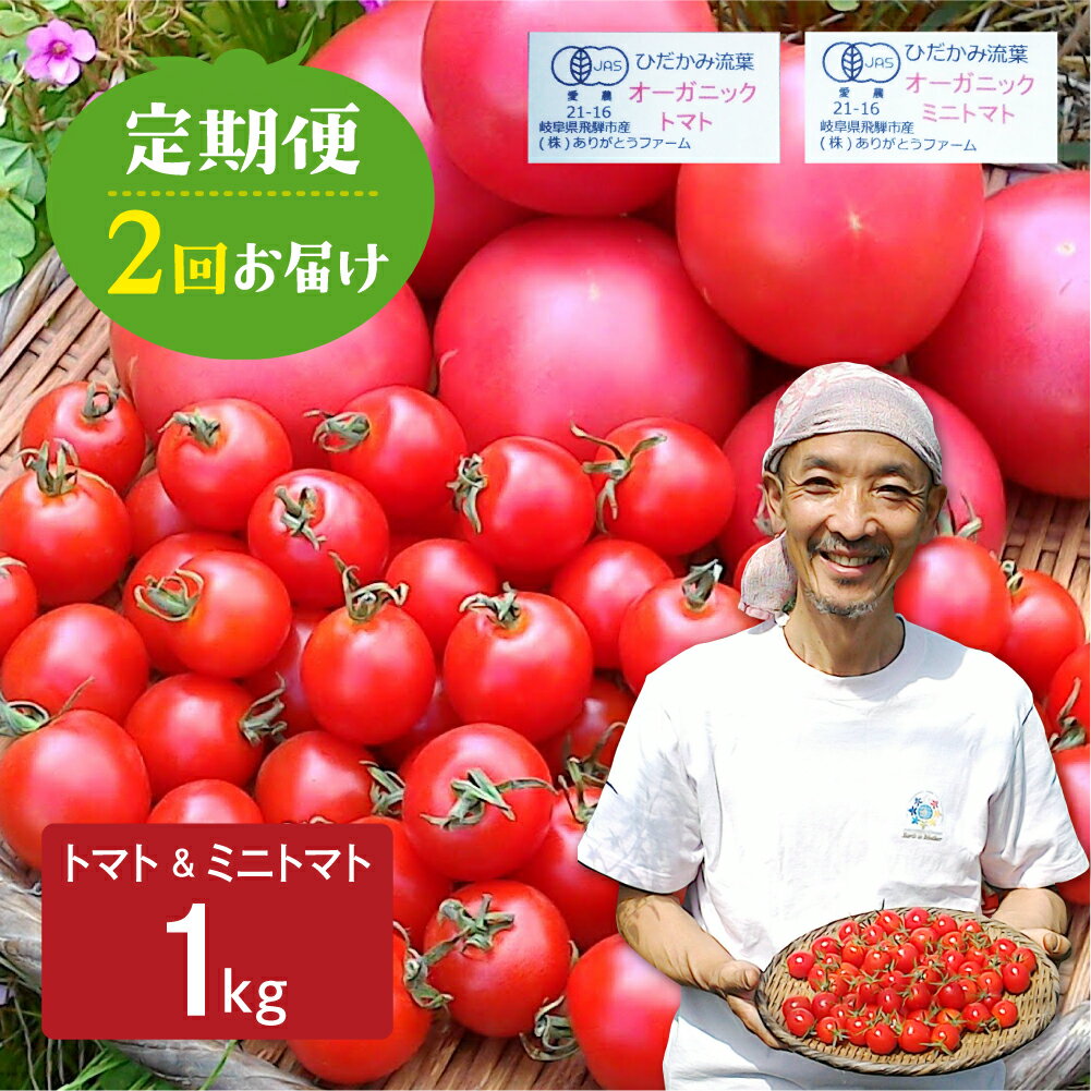 【ふるさと納税】《令和7年産先行予約》トマト・ミニトマト 1kg 2回定期便 野菜 有機栽培 とまと 産地直送 夏野菜 ［Q1300］ 《hida0307》