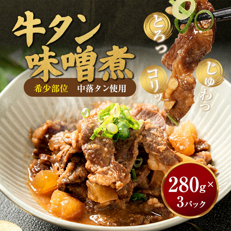【ふるさと納税】牛タン 味噌煮 280g×3パック 牛タン煮込み 惣菜 おかず ご飯のお供 おつまみ 冷凍 簡単調理 中落タン使用 濃厚味噌だれ 京都府舞鶴市