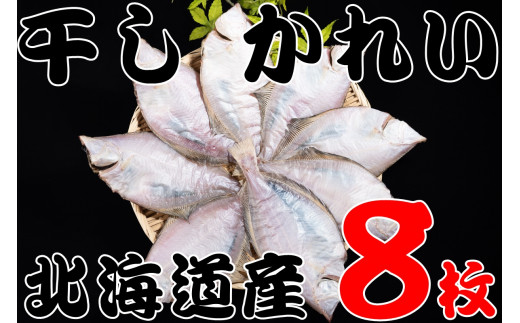 【08002】北海道産宗八がれい(中) 一夜干し８枚