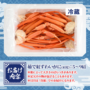 ＜土日祝着＞＜6～8月配送不可＞茹で紅ずわいがに肩足(約1kg・5～9肩)国産 魚介 海鮮 蟹 かに カニ ベニズワイガニ 新鮮 ボイル 冷蔵 ギフト【sm-AA008-B】【いたくら】