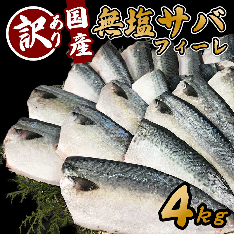 【ふるさと納税】 訳あり サバ 鯖 4kg バラ凍結 無塩 外湾漁業協同組合 国産サバ 国産鯖 無塩鯖 無塩サバ さば saba 簡単 保存 調理 焼き 味噌 みそ 簡易包装 わけあり 訳アリ 訳あり品 魚 魚介 海鮮 BBQ バーベキュー 加工品 国産 三重 南伊勢町 伊勢 志摩 1万円 10000円