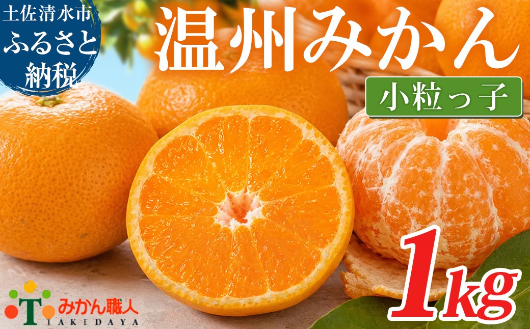 
                  温州みかん 小粒っ子 1kg 傷み補償 300g 柑橘 果物 フルーツ 不揃い オレンジ 訳アリ 蜜柑 果実 みかん 極早生 早生 晩生 光センサー選果 みかん職人武田屋 高知県 土佐清水市【R01789】
                