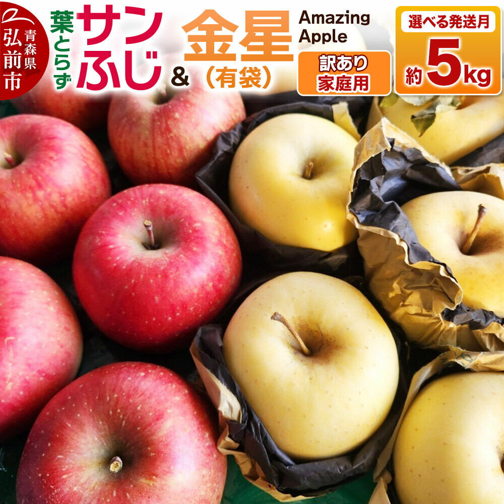 【ふるさと納税】りんご 葉取らずサンふじ＆金星（有袋）【訳あり】家庭用 約5kg 紅白セット【選べる発送月】 [りんご サンふじ 葉とらず ふじ 金星 有袋 訳あり 家庭用 選べる 5kg 詰め合わせ セット アップル おいしい 果実 果物 赤色 黄色]