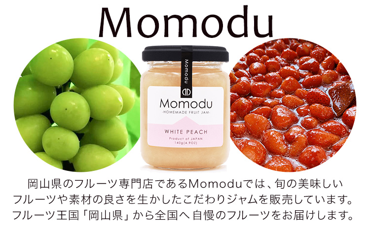 【2026年先行予約】ぶどう ニューピオーネ ご家庭用 約 1.8kg 3～5房《2026年8月上旬-9月中旬頃出荷》株式会社fruceed ぶどう 送料無料 岡山県 浅口市 ぶどう フルーツ 果物 