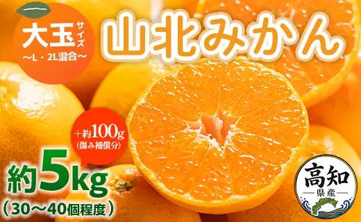 柑橘 山北みかん 大玉サイズ L・2L混合 約5kg 柑橘 yk-0079