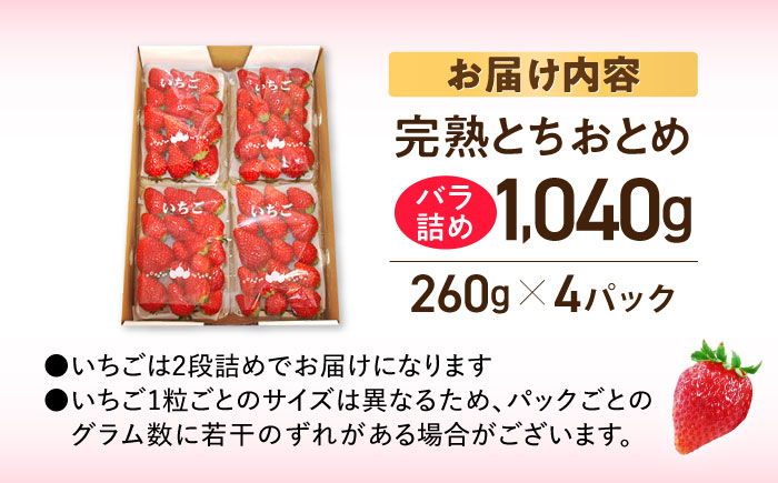 嘉山農園の完熟いちご とちおとめ（300g×4パック）【いちごはうす嘉山農園】 [AKCO002]