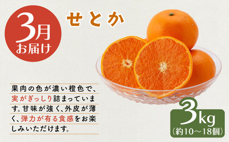 【先行予約・3回定期便】柑橘食べ比べ[OCU005]柑橘定期便柑橘食べ比べ柑橘定期便柑橘食べ比べ