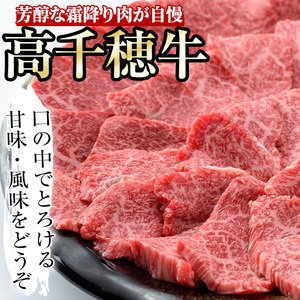 高千穂牛 ウデ焼き肉(500g)【MT001】【JA高千穂地区ミートセンター】
