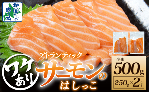 サーモン はしっこ 500g 訳あり 250g×2【アトランティックサーモン 北国からの贈り物 世界No.1サーモンメーカー 刺身 海鮮丼 サラダ 総量 鮭 さけ シャケ しゃけ sake 人気 オススメ 小分け 期間限定 冷凍】 099H3604