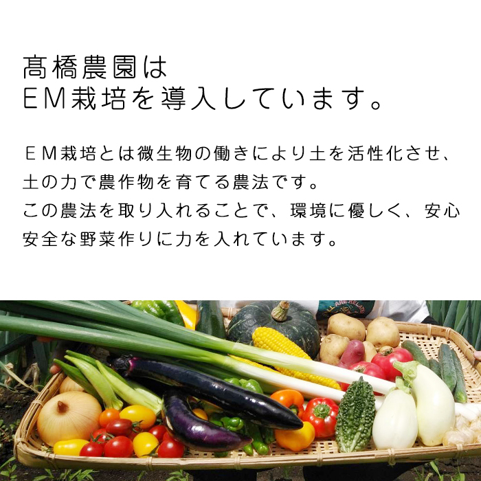 岩手県産 極楽野 土付き 長ねぎ 5kg 以上 目安本数約 25本 以上【高橋農園】／ 長ネギ 長葱 ねぎ ネギ 葱 白ねぎ 白ネギ 白葱 新鮮 野菜 やさい 人気野菜 国産 EM栽培 産地直送 農家直送 季節限定 期間限定 人気 薬味 鍋 串焼き おすすめ