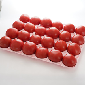 岸本くんの完熟トマト 大玉 4kg 発送期間：12月10日～2月28日	