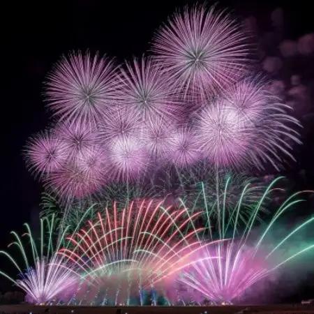 にし阿波の花火4人シート席【1749638】