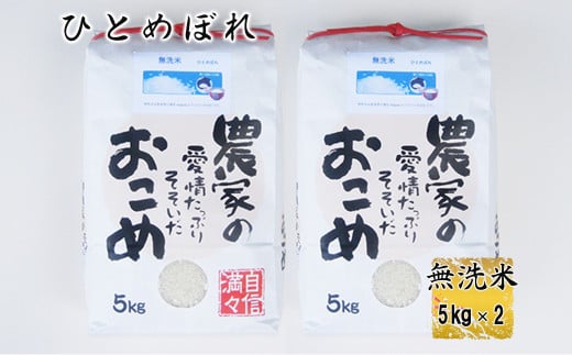 ≪令和7年産≫ ひとめぼれ 無洗米 10kg（5kg x 2個入れ） 【1815】