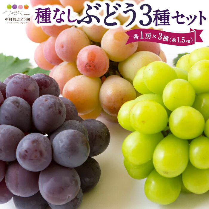 【ふるさと納税】【先行予約】中村柿ぶどう園 種なしぶどう3種セット 各1房×3種 (約1.5kg) 2025年7月下旬から9月上旬 出荷予定 種なし 朝採り ぶどう 葡萄 フルーツ 果実 果物 冷蔵 送料無料 福岡県 うきは市