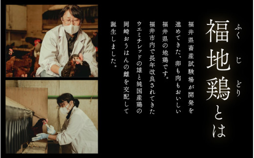 【6ヶ月連続お届け】 福井ブランド 「福地鶏」 の卵 50個 濃厚で甘くておいしい！ （25個入×2段） 定期便 ／ 卵 たまご 鶏卵 生卵 有精卵 高級 高級卵 福地鶏 鶏 平飼い 美味しい こだわ