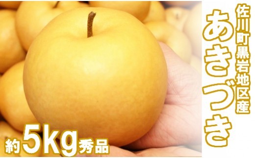 
                  <2026年9月中旬頃より発送予定>　あきづき 梨（約5kg／8～12玉）秋月梨　佐川町　黒岩
                