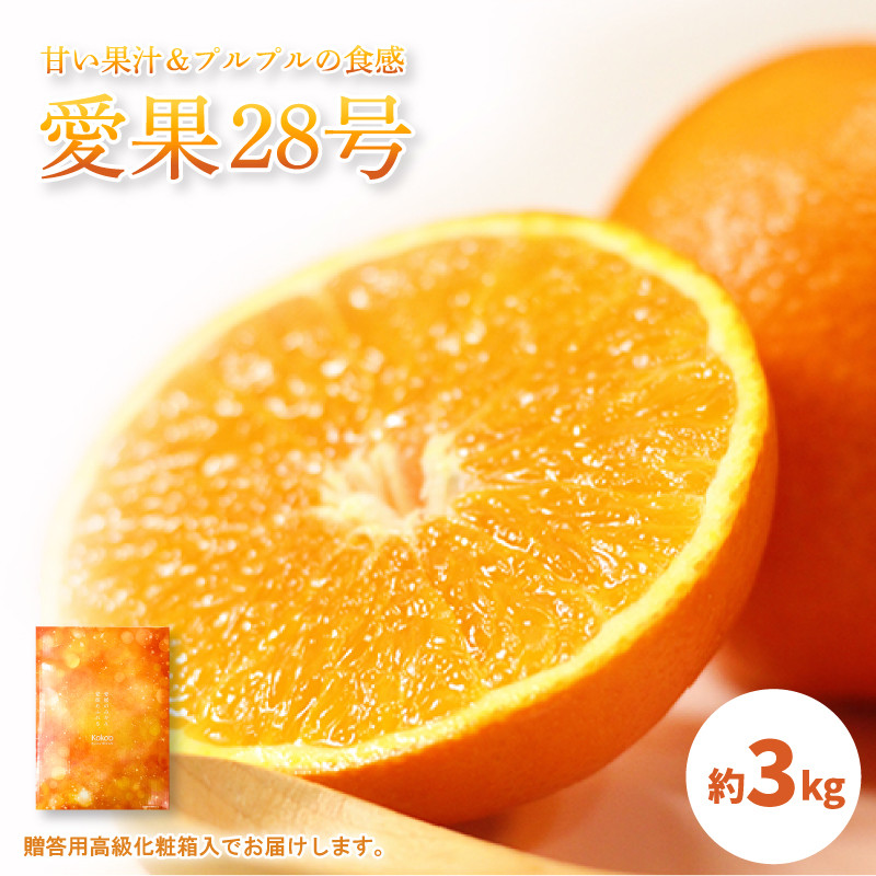 
                  【2026年11月中旬頃から発送予定】愛果28号 (紅まどんな と同品種) 秀品 約3kg 贈答用 高級 化粧箱入り |  愛果28号 あいか みかん 愛果28号 あいか 柑橘 みかん 愛果28号
                