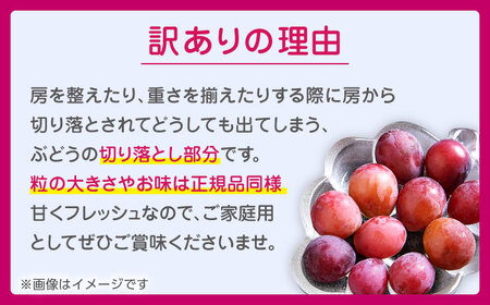 【2026年発送先行予約】訳あり クイーンニーナ ぶどう 切り落とし 約700g  【合同会社 社方園】[ZBZ039]