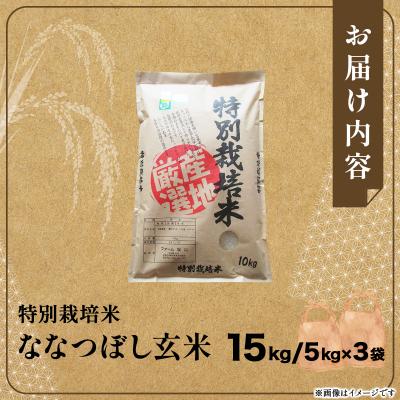 ふるさと納税 岩見沢市 令和7年産 ファーム坂口の特別栽培米 ななつぼし玄米 15kg |  | 03