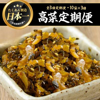 ふるさと納税 曽於市 【3回定期】辛子高菜(150g×10袋×3回)
