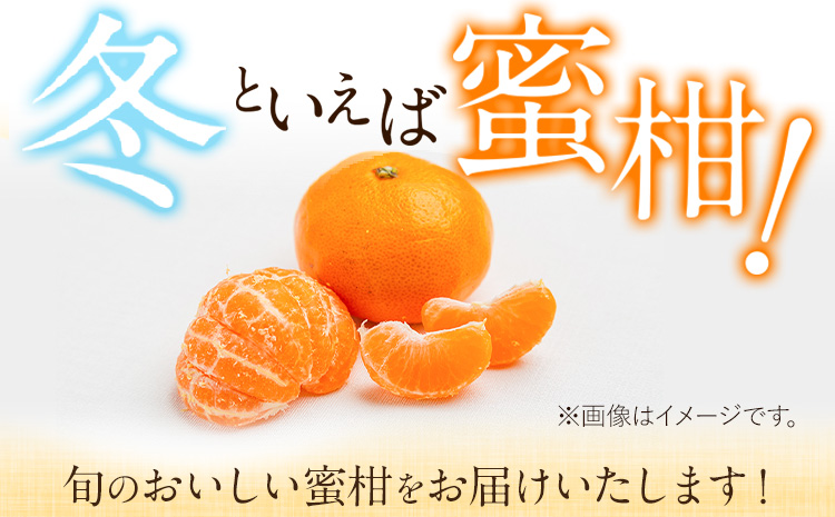 山本果樹園の旬のみかん 10kg 山本果樹園《９月中旬-2月末頃出荷予定》蜜柑 柑橘 ひのあかり 日南 豊福　肥後早生 青島---sh_ymmtmkn_bc92_r7_13500_10kg---