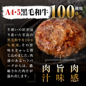 ＜A4・A5等級＞鹿児島県産 黒毛和牛100%使用 極上ハンバーグ(計3kg・150g×20個) c5-034