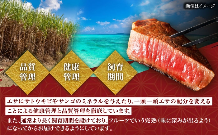 【厳選！おすすめ部位】沖縄和牛 佐渡山牛 切り落とし 500g 牛肉 焼肉 焼き肉 和牛 赤身 沖縄市 / 肉のサブロー