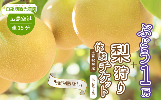 【白龍湖観光農園】《土日祝限定》時間制限なし！ぶどう1房摘み取りと梨狩り体験チケット おとな2名 果物 くだもの フルーツ 202005