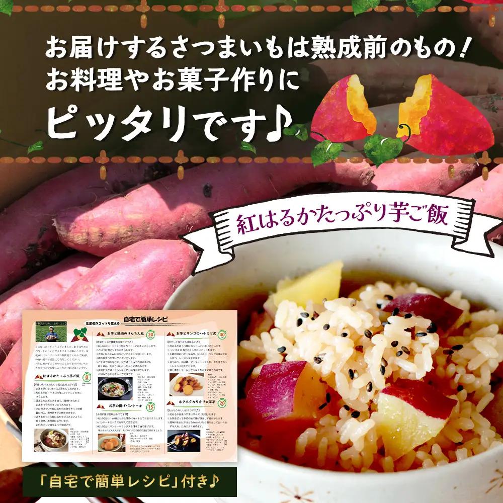 【先行予約：2026年9月中旬配送～】掘りたて さつまいも 紅はるか 5kg Lサイズ (おすそ分け袋／自宅で簡単レシピ付き）FR-532 | 秋の味覚 2026年秋収穫 新物 さつまいも サツマイモ