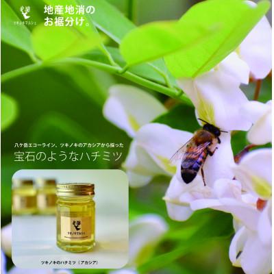 ふるさと納税 茅野市 [八ヶ岳泉野]ツキノキマルシェのハチミツセット「アカシアと百花」八ヶ岳西麓の希少品 |  | 01