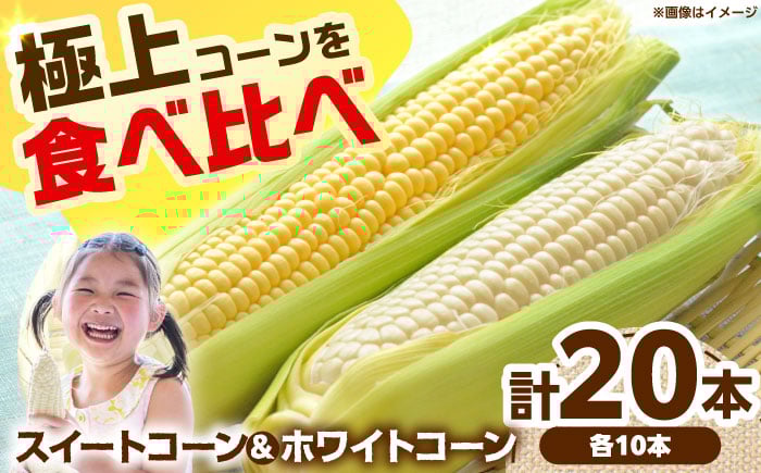 
            【6月頃発送予定】朝採れとうもろこし スイートコーン ホワイトコーン 食べ比べセット 各10本 高槻市産 とうもろこし トウモロコシ コーン 甘い 野菜 新鮮 大阪府高槻市/高槻あぐり [AOCS030]
          