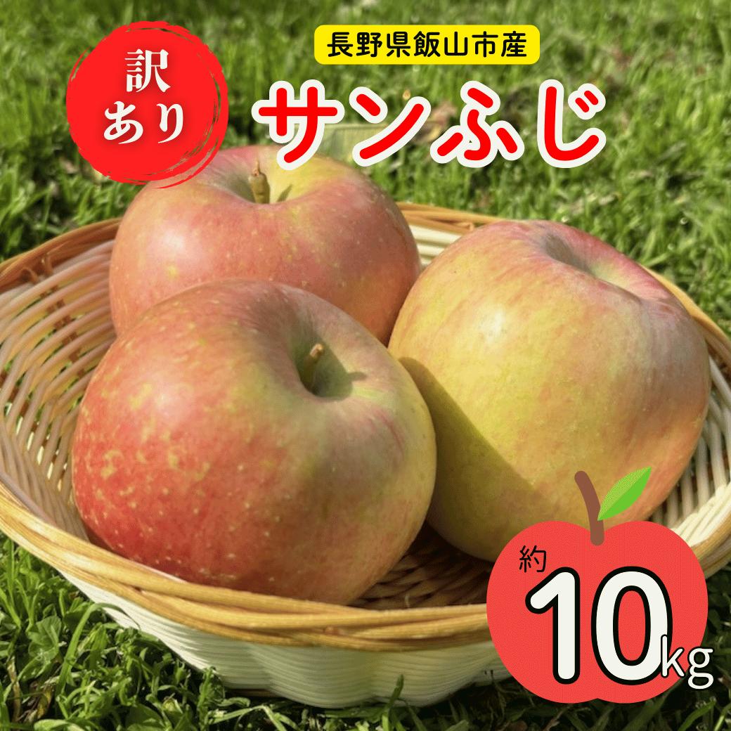 【先行予約】【訳あり】サンふじ【約10kg（22-40個】(H-1.8)