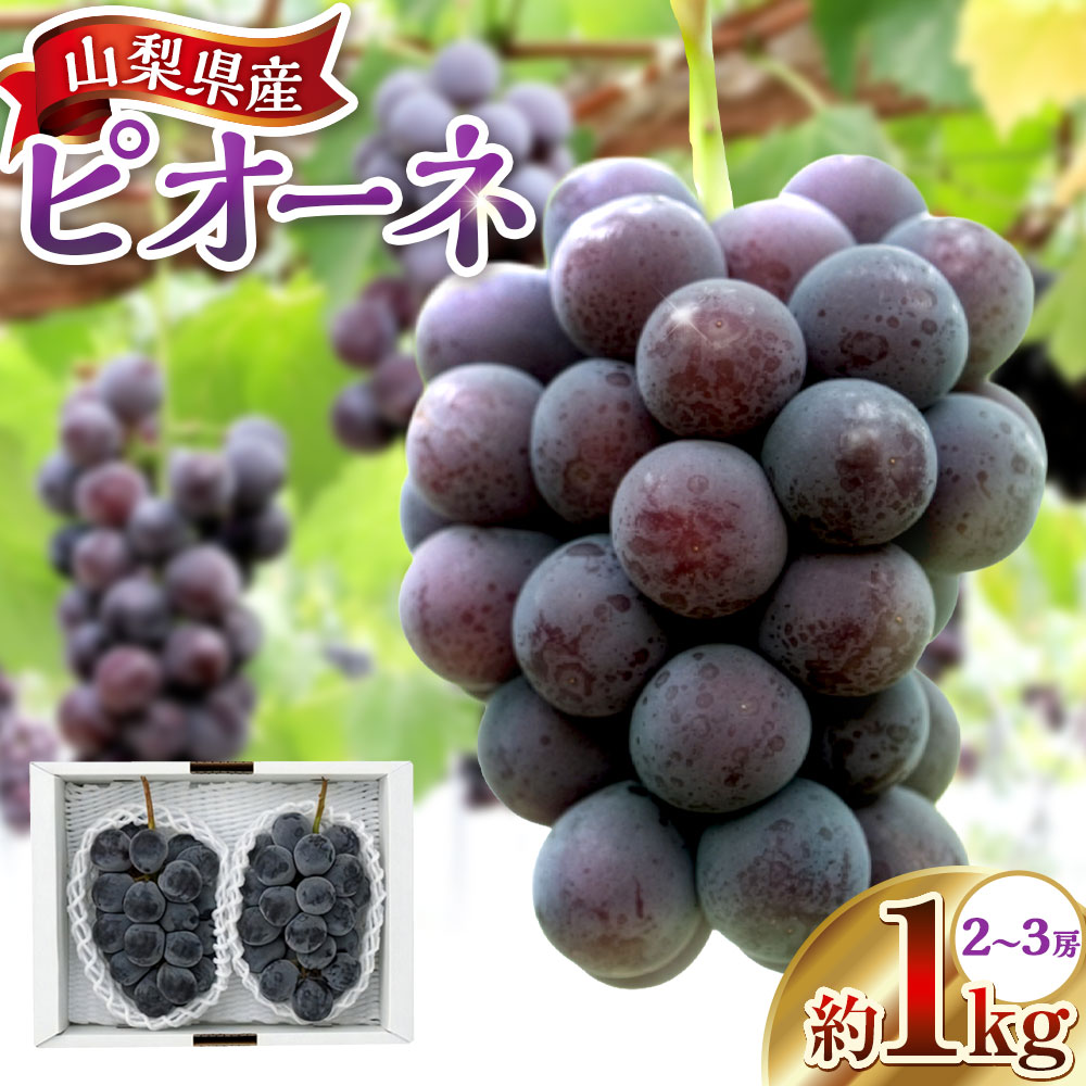 【ふるさと納税】山梨県産ピオーネ 約1kg（2～3房） ぶどう ブドウ 葡萄 大粒 フルーツ くだもの 果物 果実 デザート 冷蔵 国産 山梨県 中央市 送料無料 【2026年9月上旬～10月下旬発送予定】