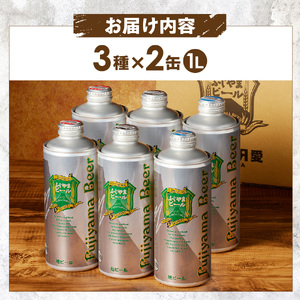 ふじやま ビール たっぷり2L×3種 飲み比べセット クラフトビール 【計6本】