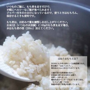 岩手県産 もち麦 はねうまもち 1kg （500g×2袋） 【 十一代目藤助】 ／ もちむぎ 雑穀 雑穀米 1キロ もち麦ご飯 ご飯 ごはん 麦ごはん 麦ご飯 お粥 おかゆ 主食 混ぜるだけ 混ぜて炊