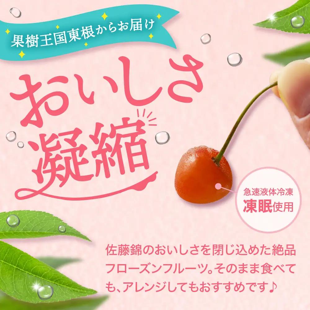 【急速冷凍】東根産さくらんぼ 100g×5袋 冷凍 さくらんぼ
