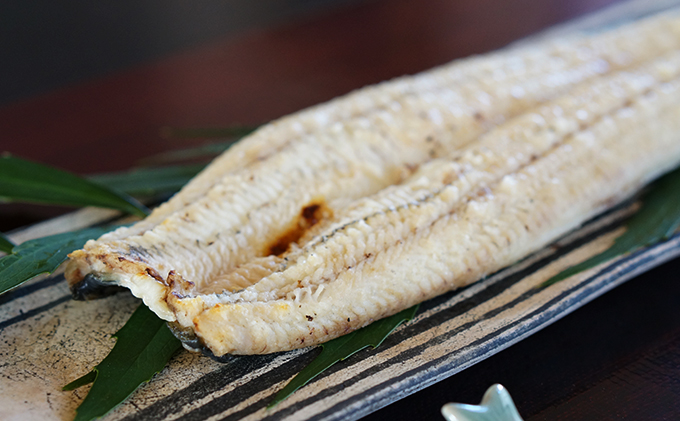 うなぎ 浜名湖産 鰻の 白焼き 約140g × 2匹 国産 【配送不可：離島】