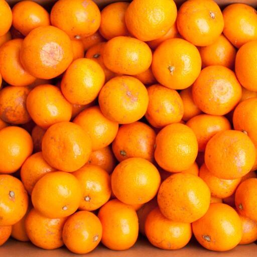 家庭用 小さな有田みかん2.5kg+250g（傷み補償分）［2025年10月上旬から2026年1月下旬頃順次発送予定］［IKE246］