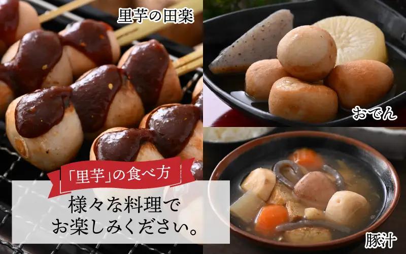 里芋 令和8年産 かつやま里芋 5kg 先行予約 [A-005013]