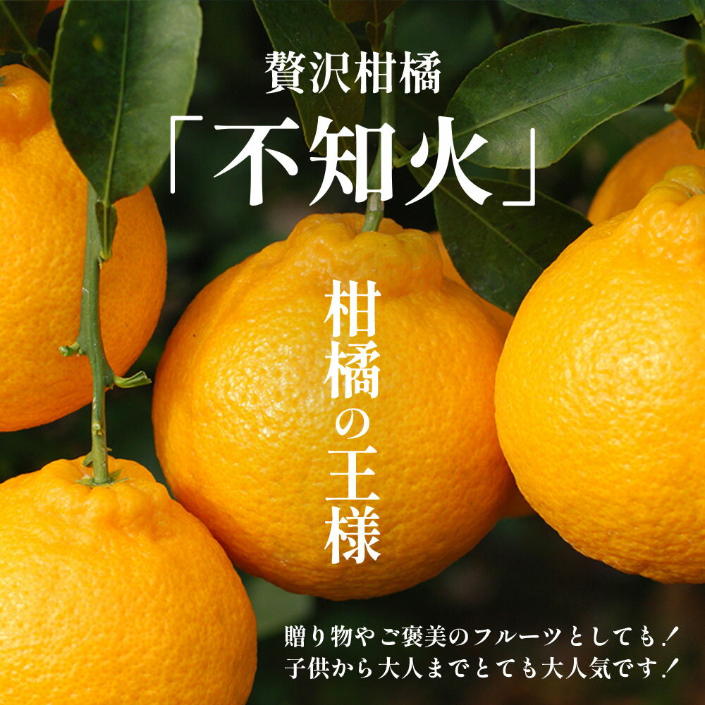 【ふるさと納税】不知火 約5kg〜10kg サイズ混合 佐賀県産 | ふるさと納税 不知火 完熟 しらぬい デコポンと同品種 柑橘 みかん フルーツ 果物 くだもの 果実 旬 新鮮 お取り寄せ グルメ ふるさと 人気 おすすめ 佐賀県 鹿島市 送料無料 B-895