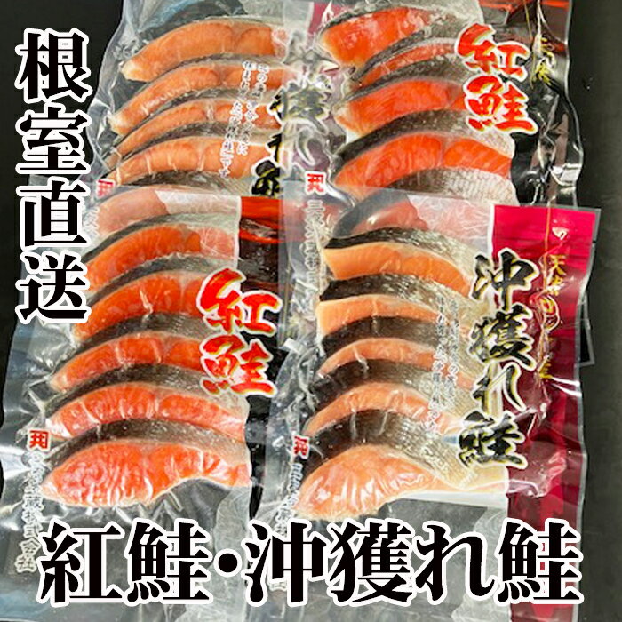 【ふるさと納税】 甘塩紅鮭5切×6P、甘塩沖獲れ鮭5切×6P サケ さけ しゃけ シャケ 紅ざけ 紅ザケ べにざけ ベニザケ さかな 魚 サカナ お取り寄せ グルメ 海鮮 北海道 根室市 ふるさと納税 C-30004