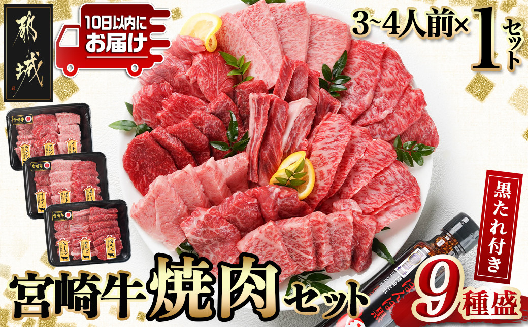 
【数量限定】宮崎牛9種盛り焼肉セット≪みやこんじょ特急便≫_22-3101-Q_(都城市) 宮崎牛 ラムシン マルシン イチボ サーロイン ザブトン 肩ロース ショートリブ カルビ 内モモ ギフト 贈答用
